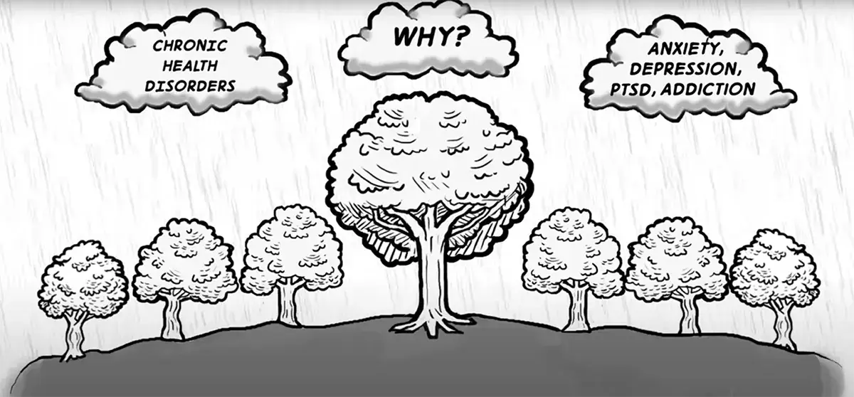 16   Explanation What is Trauma   How can EMDR Help