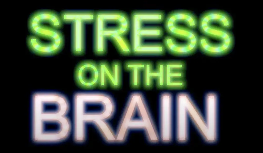 19   Stress on the Brain   Rapsong