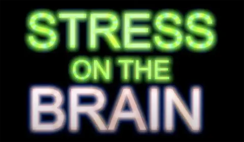 19   Stress on the Brain   Rapsong