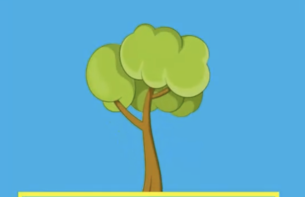 video growing tree